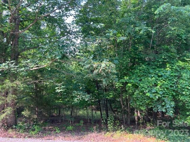 Property image 2 at Lot 23 Double Eagle Drive, Nebo, NC 28761
