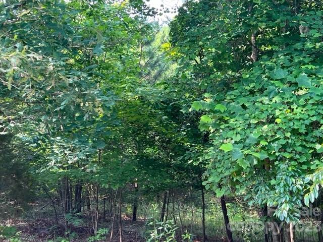 Property image 3 at Lot 23 Double Eagle Drive, Nebo, NC 28761