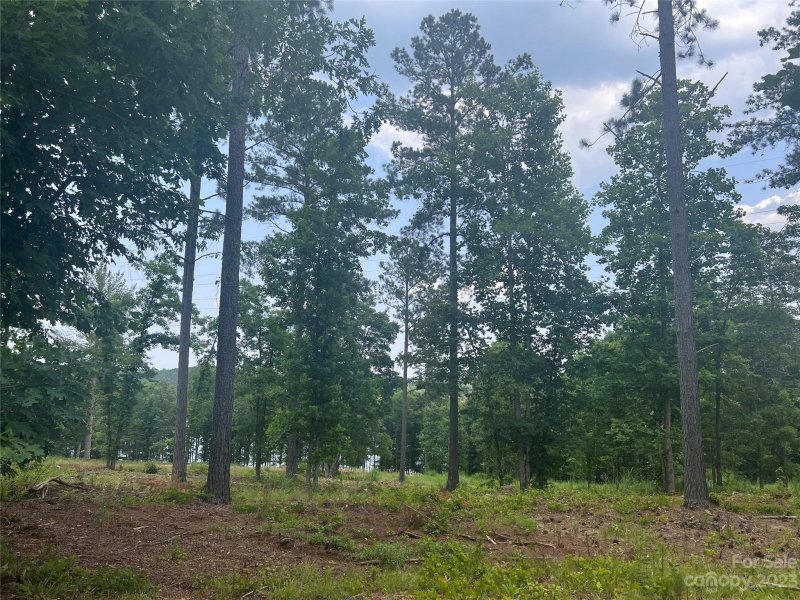 Property image 5 at Lot 111 Decker Road, Connelly Springs, NC 28612