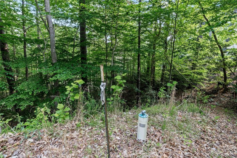 Property image 3 at 492 Larkhaven Drive, Nebo, NC 28761