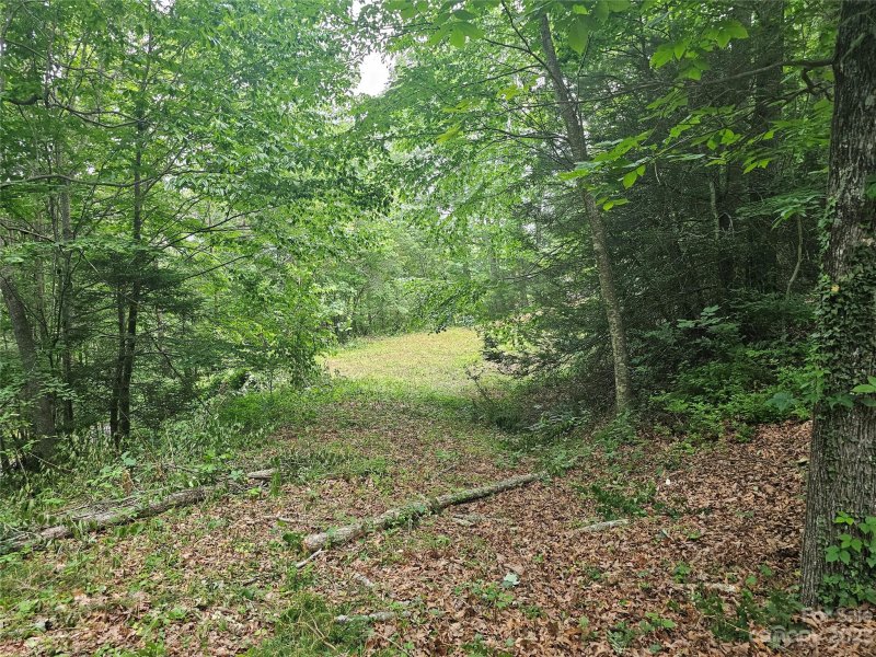 Property image 2 at Lot 32 Peaceful Lane, Clyde, NC 28721