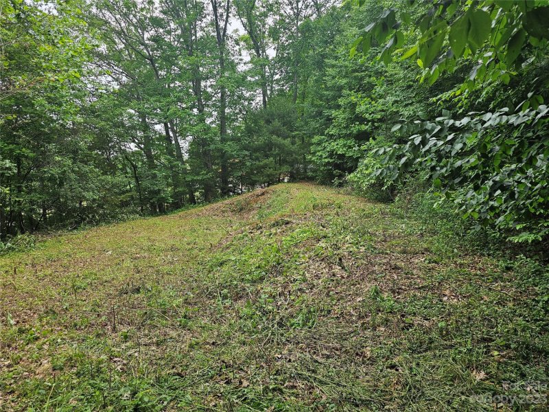 Property image 4 at Lot 32 Peaceful Lane, Clyde, NC 28721