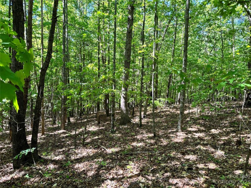 Property image 3 at 0 Owls Ridge Drive, Bostic, NC 28018