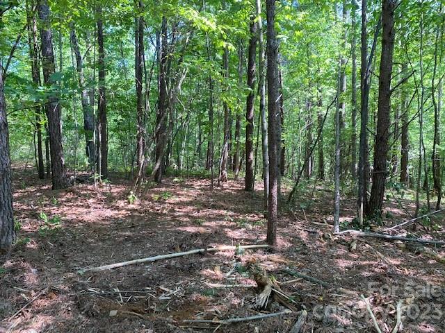 Property image 2 at 213 High Meadows Lane, Rutherfordton, NC 28139