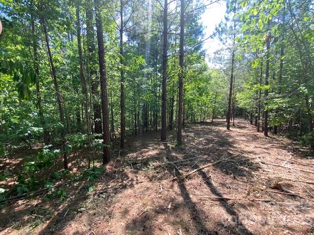 Property image 3 at 213 High Meadows Lane, Rutherfordton, NC 28139