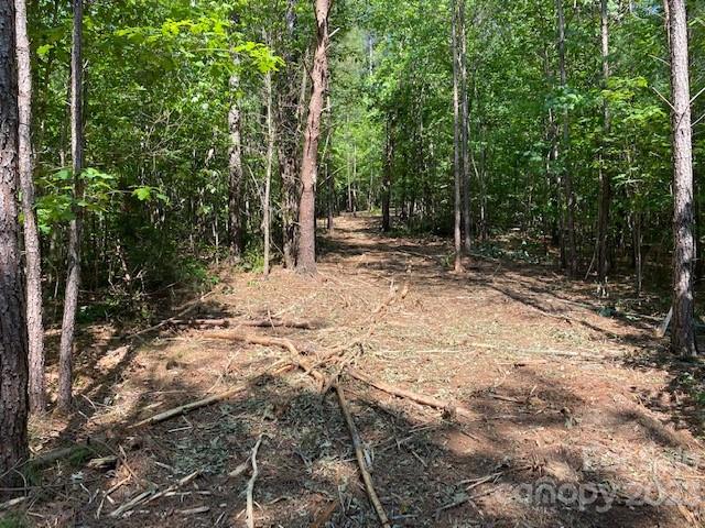 Property image 4 at 213 High Meadows Lane, Rutherfordton, NC 28139