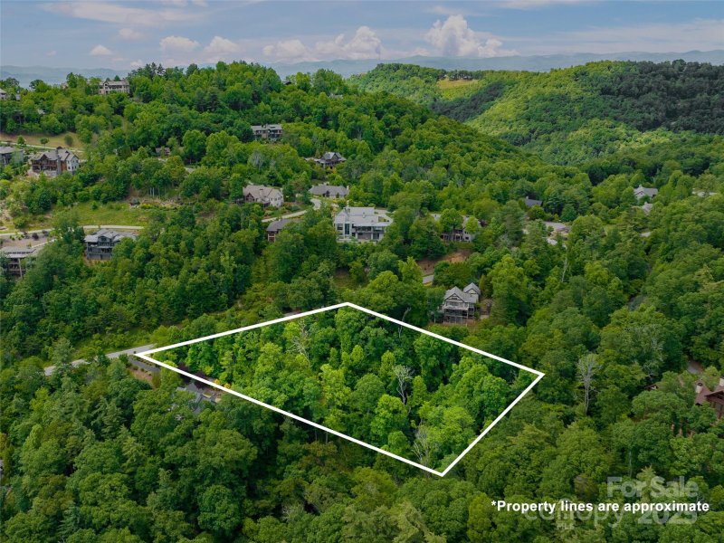 Property image 3 of 209 Senator Reynolds Road in Reynolds Mountain, Asheville, NC 28804
