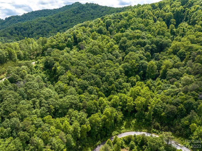 Property image 5 at 64 Mountain Magnolia Drive, Leicester, NC 28748