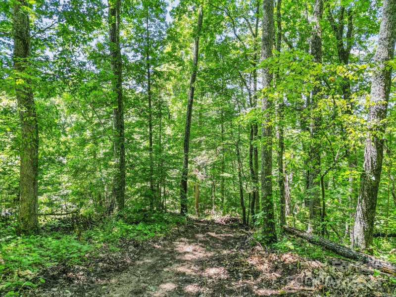 Property image 3 at 78 Spring Falls Drive, Weaverville, NC 28787