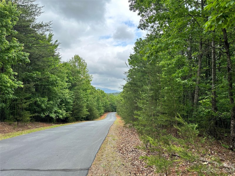 Property image 2 at 0 Grouse Ridge Drive, Bostic, NC 28018