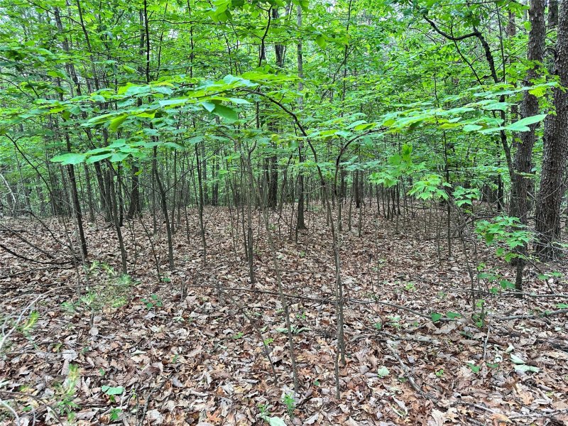 Property image 3 at 0 Grouse Ridge Drive, Bostic, NC 28018