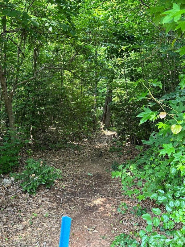 Property image 2 at 0 Shanklin Lane, Denver, NC 28037