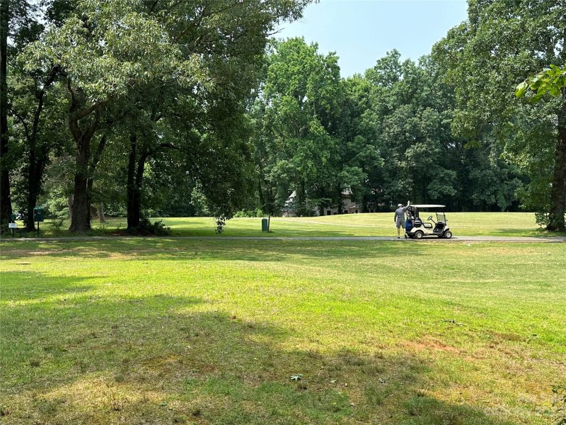 Property image 4 at 0 Shanklin Lane, Denver, NC 28037