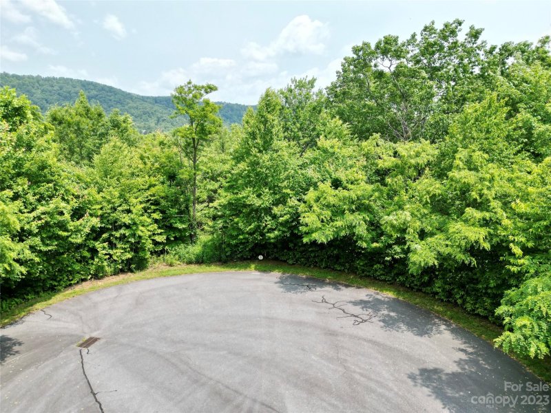 Property image 3 at 462 Feather Falls Trail, Black Mountain, NC 28711