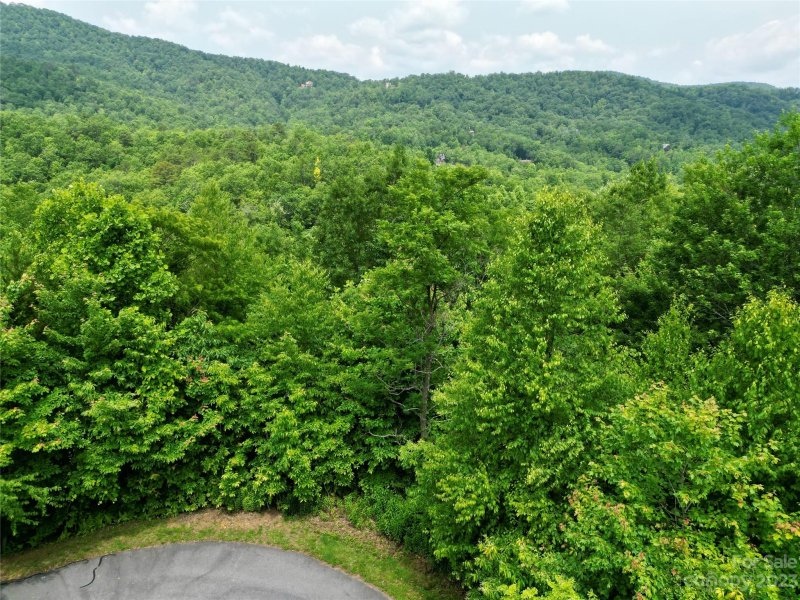Property image 4 at 462 Feather Falls Trail, Black Mountain, NC 28711