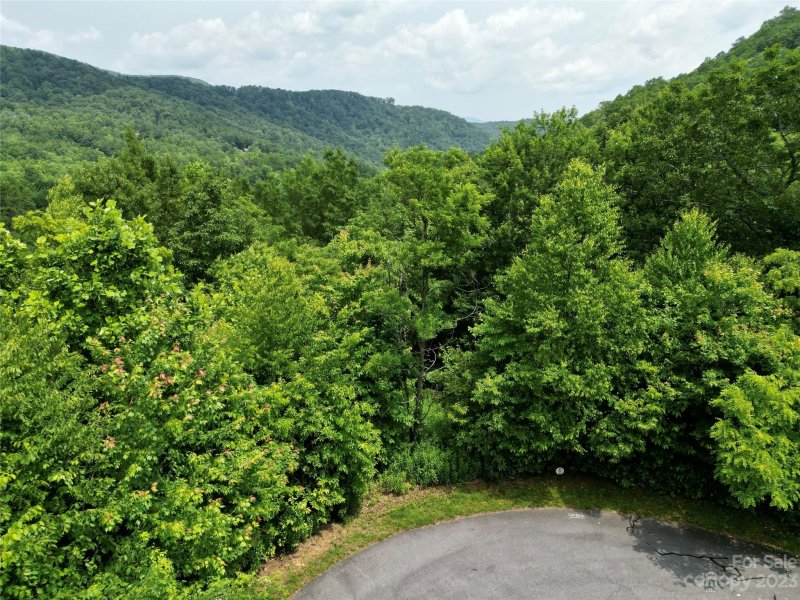 Property image 5 at 462 Feather Falls Trail, Black Mountain, NC 28711
