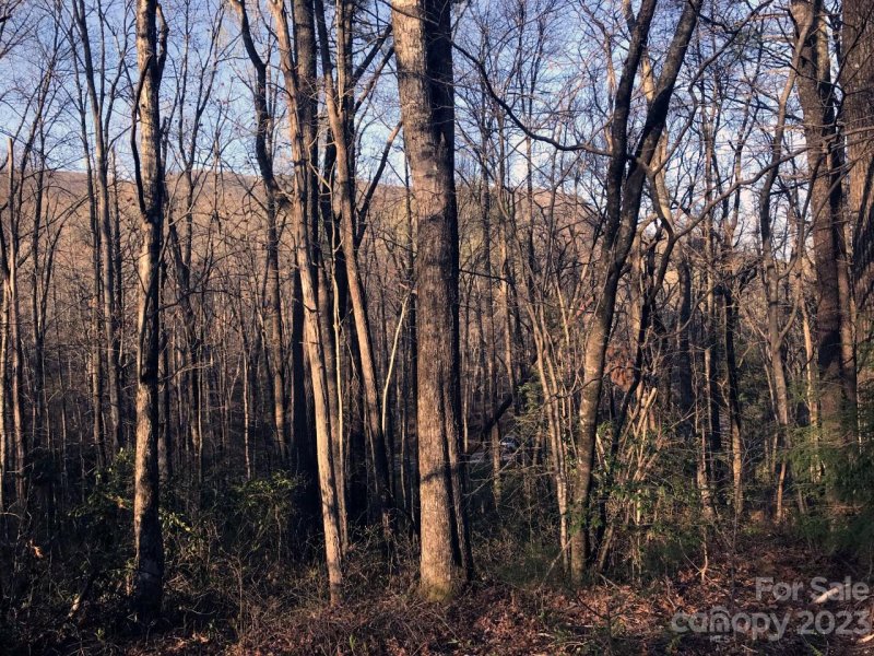 Property image 3 at 26 Holly Road, Sapphire, NC 28774