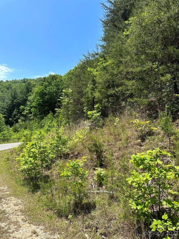 Property image 3 at 26 Carolina Buckthorn Drive, Leicester, NC 28748