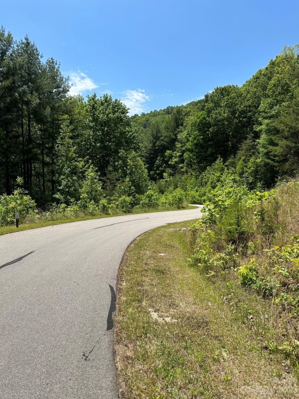 Property image 4 at 26 Carolina Buckthorn Drive, Leicester, NC 28748