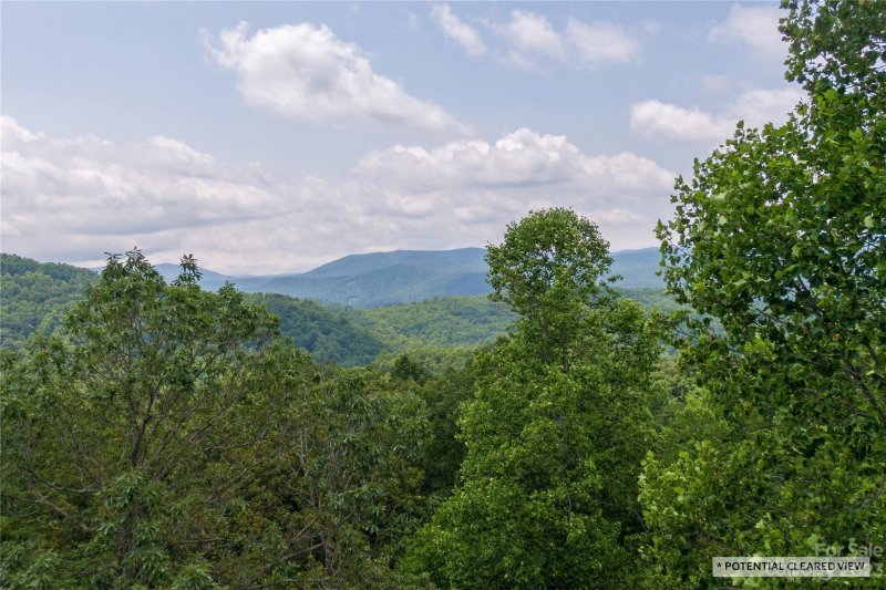 Property image 4 of 100 Ivywood Lane in Somersby Park, Laurel Park, NC 28739