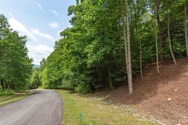 Property image 5 of 100 Ivywood Lane in Somersby Park, Laurel Park, NC 28739