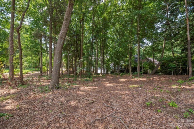 Property image 3 at 8134 Bay Pointe Drive, Denver, NC 28037