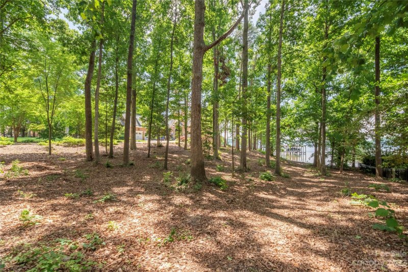 Property image 4 at 8134 Bay Pointe Drive, Denver, NC 28037