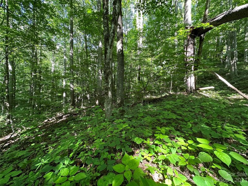 Property image 2 at 00 Old Country Road, Waynesville, NC 28786