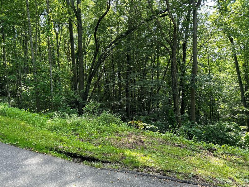 Property image 4 at 00 Old Country Road, Waynesville, NC 28786