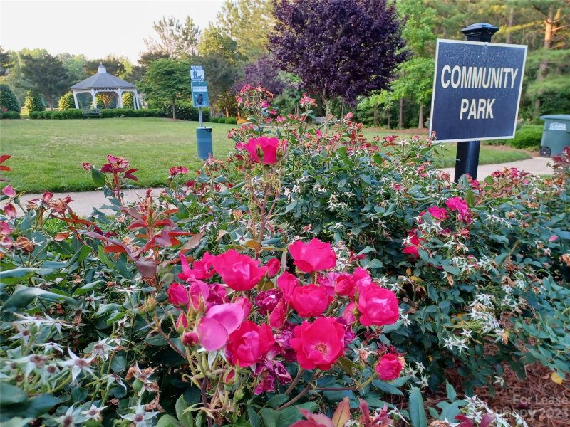 Property image 5 at 3717 English Garden Drive, Gastonia, NC 28056