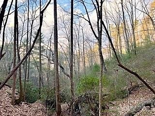 Property image 2 at V L Brighton Drive, Bostic, NC 28010