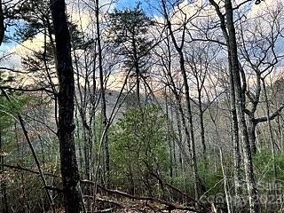 Property image 3 at V L Brighton Drive, Bostic, NC 28010