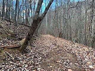 Property image 5 at V L Brighton Drive, Bostic, NC 28010