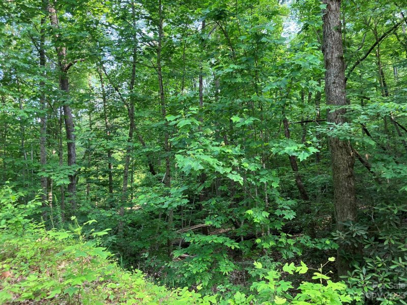 Property image 2 at Lots 533 534 Jones Court, Lake Lure, NC 28746