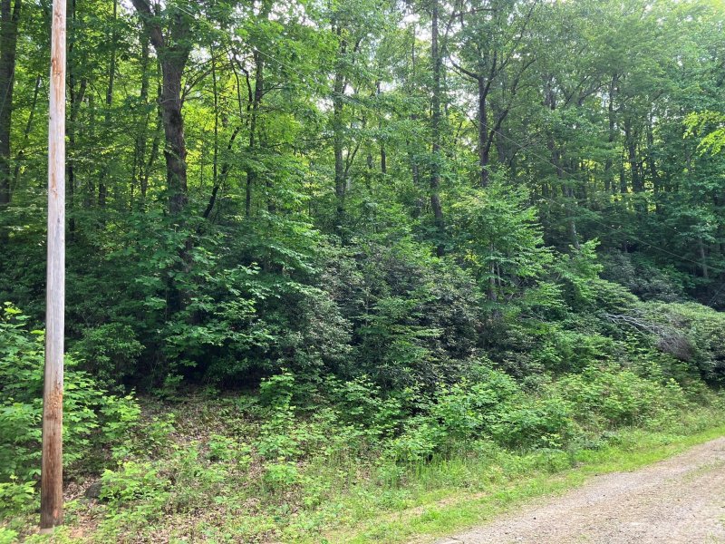 Property image 5 at Lots 533 534 Jones Court, Lake Lure, NC 28746