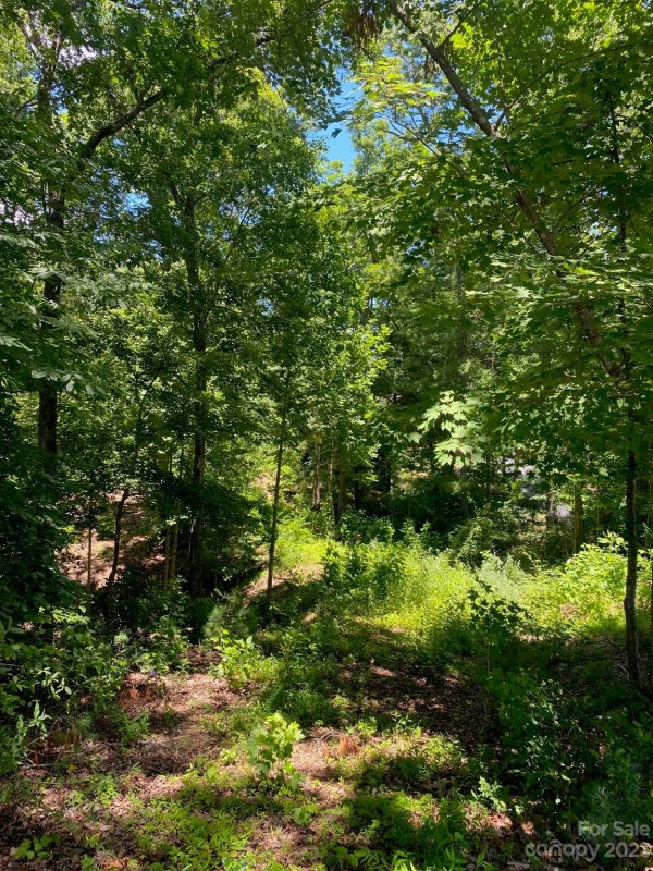 Property image 3 at 1504 Brentwood Place, Morganton, NC 28655