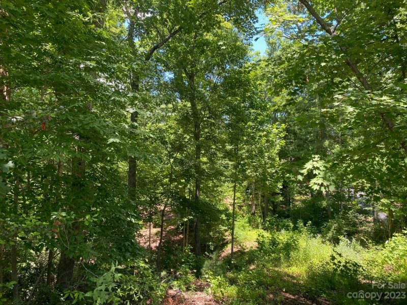 Property image 4 at 1504 Brentwood Place, Morganton, NC 28655