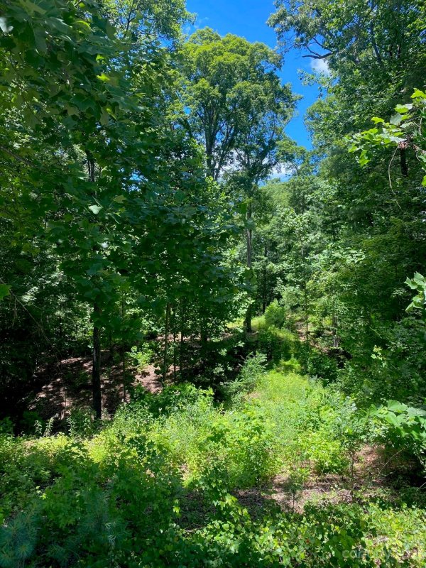 Property image 5 at 1504 Brentwood Place, Morganton, NC 28655