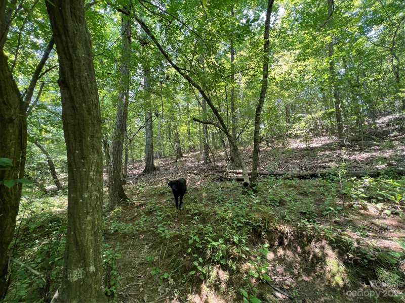 Property image 2 at 2206 Old Camden Road, Monroe, NC 28110