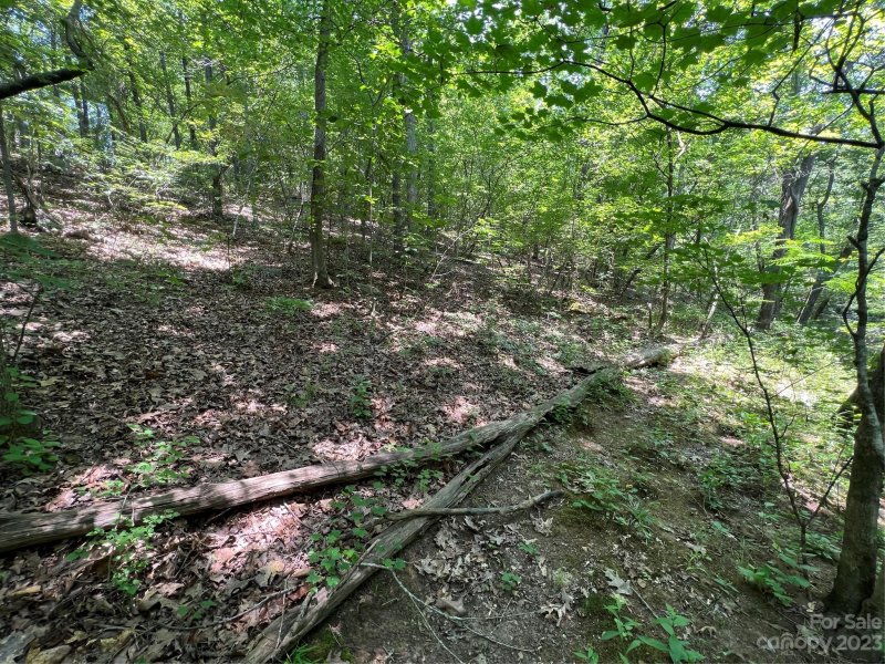 Property image 3 at 2206 Old Camden Road, Monroe, NC 28110