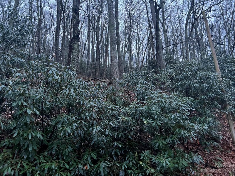 Property image 2 of 00 Wildflower Cove Road in Alpine Mountain, Swannanoa, NC 28778