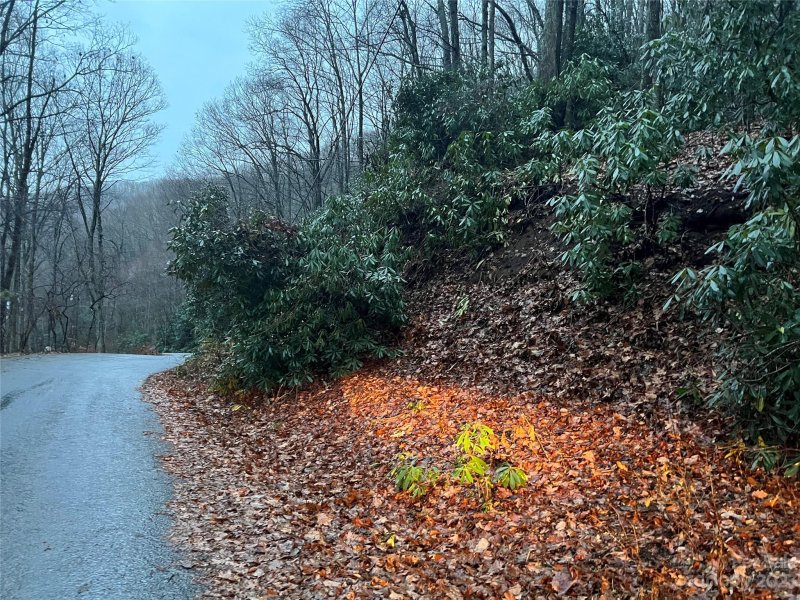 Property image 3 of 00 Wildflower Cove Road in Alpine Mountain, Swannanoa, NC 28778
