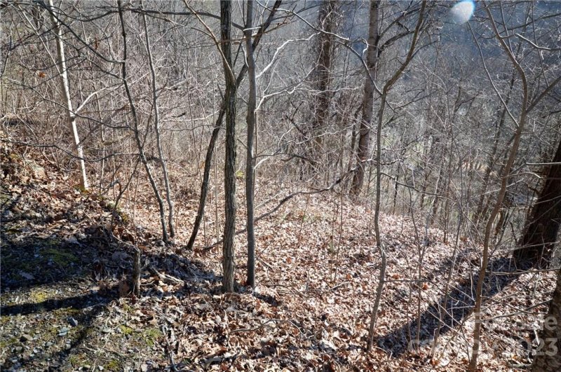 Property image 2 of 24 Lochmoor Lane in Utah Mountain Estates, Waynesville, NC 28785