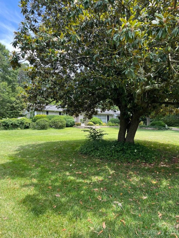 Property image 2 at 4347 Woodlark Lane, Charlotte, NC 28211