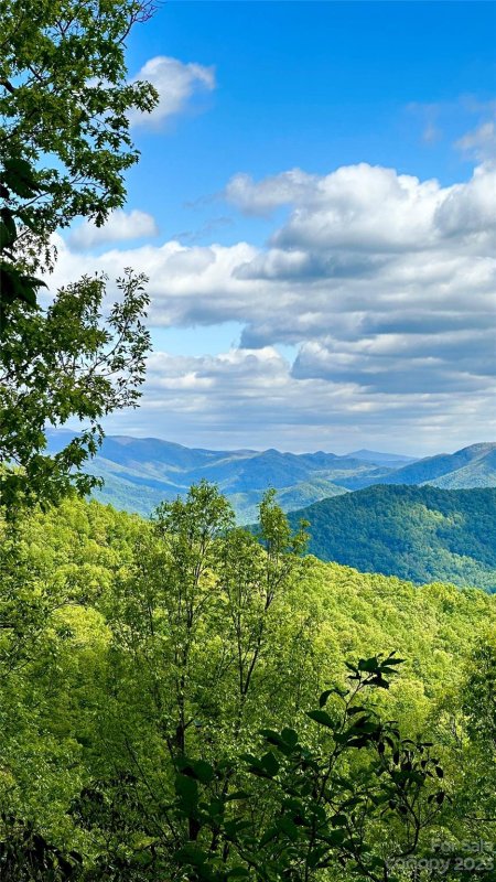 Property image 2 at 99999 Laurel Mountain Trail, Black Mountain, NC 28711