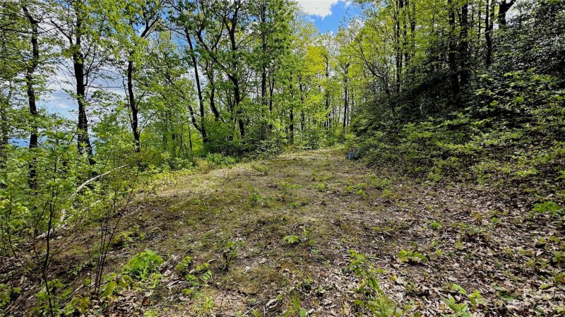 Property image 3 at 99999 Laurel Mountain Trail, Black Mountain, NC 28711