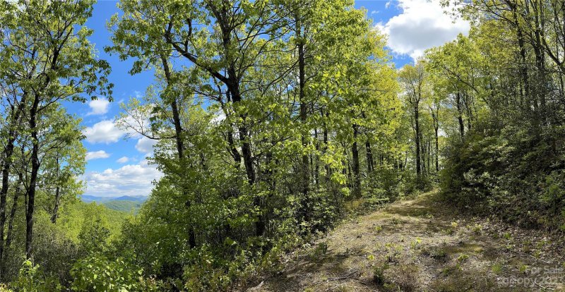 Property image 4 at 99999 Laurel Mountain Trail, Black Mountain, NC 28711