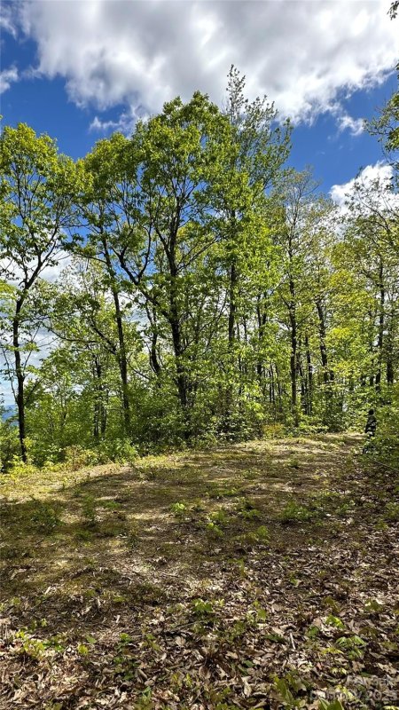 Property image 5 at 99999 Laurel Mountain Trail, Black Mountain, NC 28711