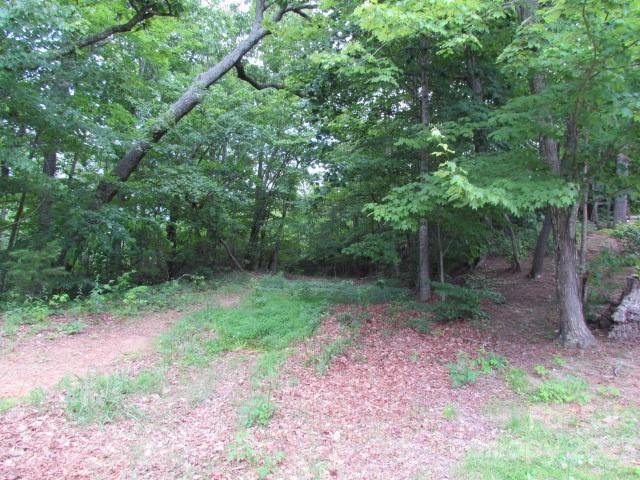 Property image 2 at 00 Caledonia Road, Landrum, SC 29356