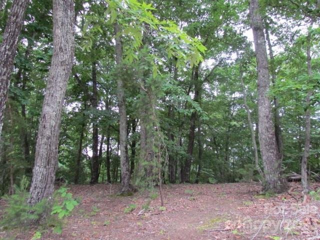 Property image 3 at 00 Caledonia Road, Landrum, SC 29356